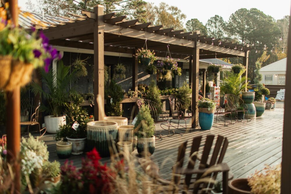 Gardening 101: Tips for Beginners Visiting a Retail Nursery