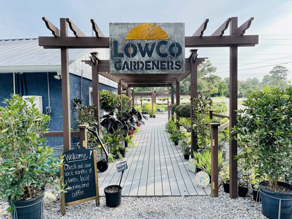 Seasonal Gardening: What to Plant Throughout the Year with LowCo