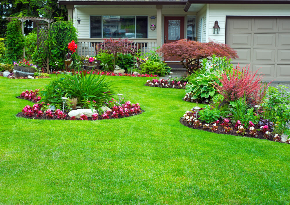  Why You Should Hire A Professional For Your Landscape Maintenance