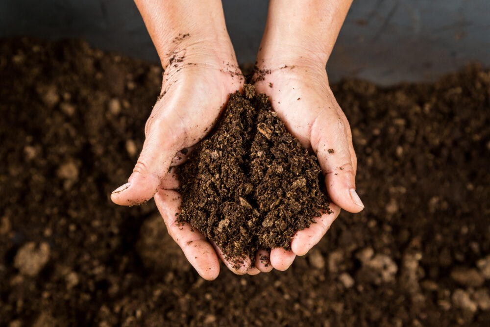 The Benefits of Composting for Your Garden