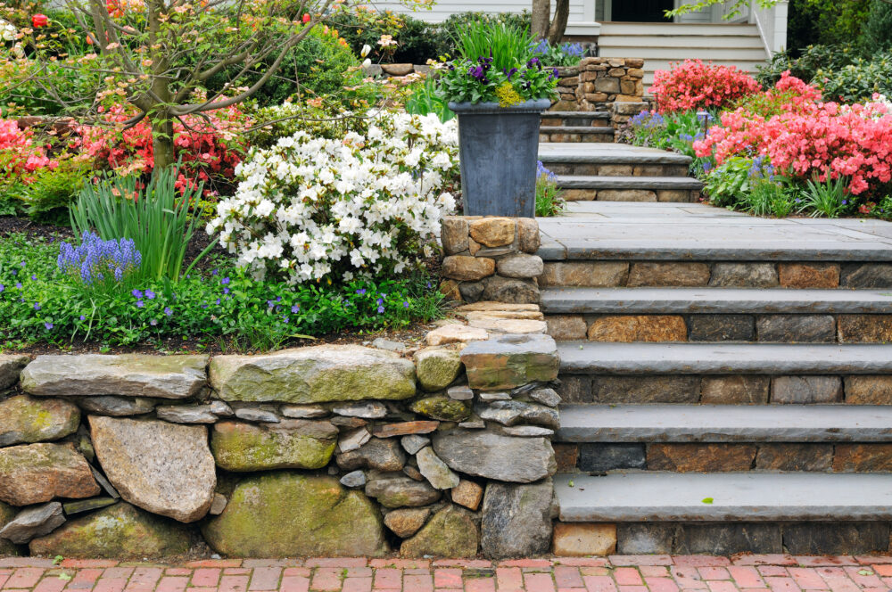 Beyond the Green: Unlocking the Magic of Hardscaping for Your Dream Outdoor Space