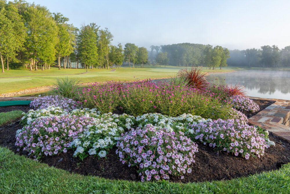 Bringing Life to Businesses: Selecting Plants for Commercial Settings