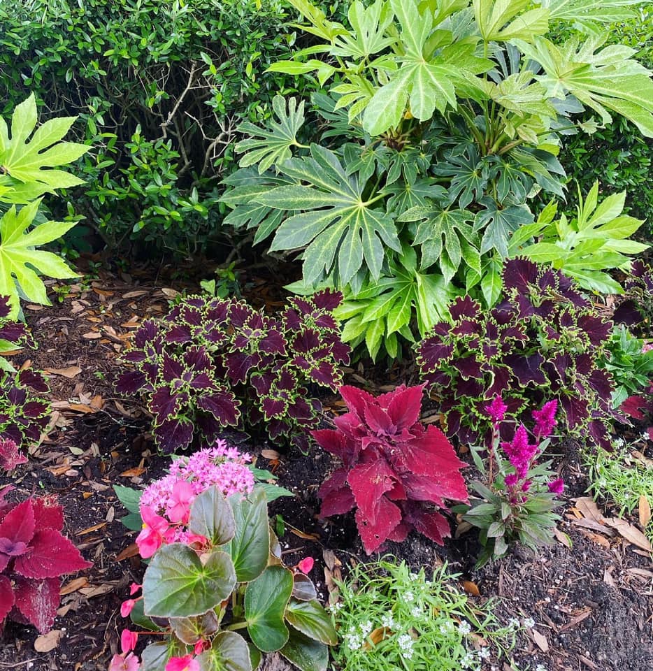 Benefits of Professional Landscape Maintenance 